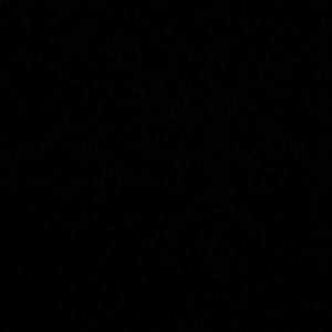 Meet your Posher, Audrey